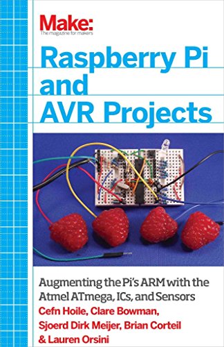 Raspberry Pi and AVR Projects view 2