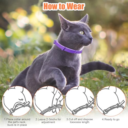 Beruhigendes Halsband für Katzen, 4-teilig, Anti-Stress, natürlich, mit Pheromonen, Farbe Violett, Größe verstellbar und 30 Tage Effekt, für Kätzchen und erwachsene Katzen
