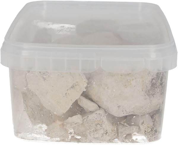 ProRep Tortoise Calcium Blocks | Tortoise Care (1kg) - 2