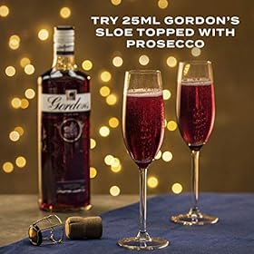 Indulge in Gordon’s Sloe Gin – Order Your 70cl Bottle of Botanical Bliss Today! Indulge in Gordon's Sloe Gin – Order Your 70cl Bottle of Botanical Bliss Today! – Gordon's