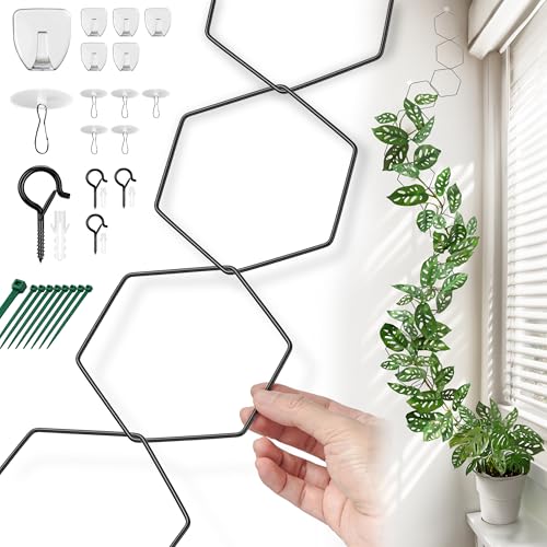 Chain Trellis for Climbing Plants - Indoor & Outdoor...