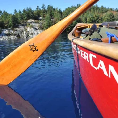 Left=Noided, Noided=Left: w/ River (featuring Fire in the Minds of Men)