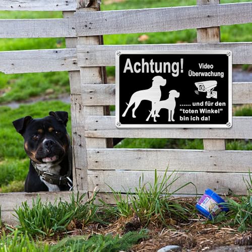 Goodvia Freilaufender Hund Videoüberwacht 30x20cm Metall Aluminium, Hunde Schilder Lustig und für den Toten Winkel Bin Ich Da