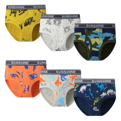 Boys Cartoon Print Underwear, 6 Pack, Cotton Briefs with Cute Design, More Colorful Pattern Briefs
