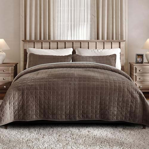 Fleeco Double-Sided Velvet Quilt King Size Comforter Set 108x 96 Lightweight Velvet Bedding Set Ultra Soft Bedspread with 2 Matching Shams for All Seasons Brown