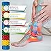Foot Log Foot Roller Massager - Plantar Fasciitis - Neuropathy Pain and Circulation - Heel Spur Pain Relief - Foot Reflexology - Relaxation Gifts for Women and Men