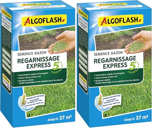 Semence Gazon Regarnissage Algoflash Express 5 Jours 800 g Lot de 2