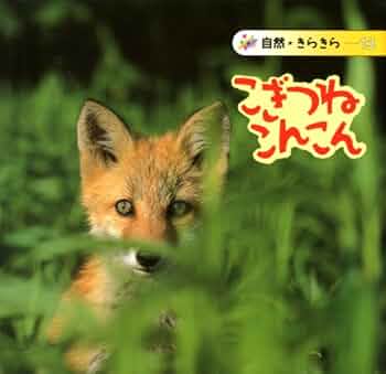 こんこん狐様用ご購入ページ 71xi7TsCvaL._UF350,350_QL50_.jpg