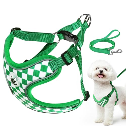Pettorina Cane Taglia Piccola, Step-in Pettorina Anti-tiro per Cuccioli Gatti con Guinzaglio, Regolabile Riflettente Traspirante Imbracatura Cane Morbida per Passeggiate Corsa (Verde S)