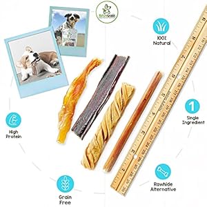 Nature Gnaws Variety Pack – Long Lasting Dog Chews for Dogs – Combo Pack of Bully Sticks, Beef Gullet and More – Dental Chews – Puppy Training Reward