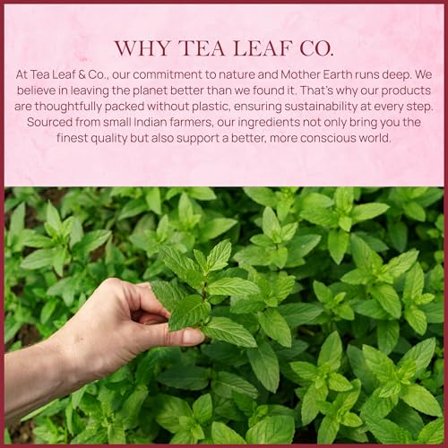 Image of Tealeaf & Co. Orange Ginger Mint Tea Blended with Fresh Herbs and Spices - Herbal Tea Bags with Orange Peel, Ginger, Star Anise, Spearmint & Lemon Grass - Low Caffeine - Gluten Free - 50 Teabags