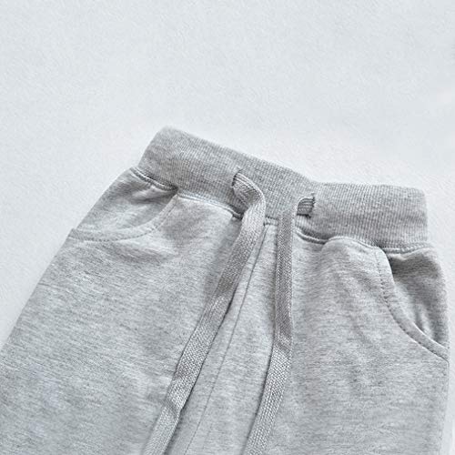 Image of Little Boys Jogger Pants Toddler Boys' Drawstring Elastic Waist Cotton Casual Sweatpants 1PC / 2 PCS Set
