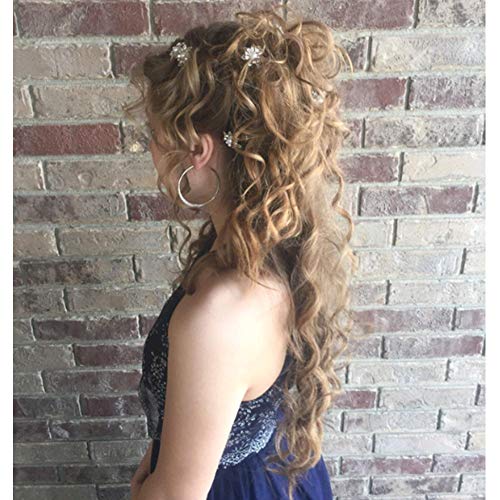 Yantu 10 Pcs Women Flower Hair Pin Crystal Hair Pins Swirl Hair Twists Coils Spirals Hair Pins Clip Hair Accessories #TOP7