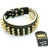 Bestia 'Gold Giant Genuine Leather Studded Big Dogs Collar. 2.5 inch Wide. Soft Padded. Durable &...