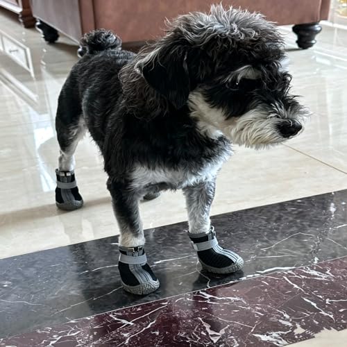 Atmungsaktive Hundeschuhe 4 Stück, Hundestiefel mit Reflektierendem Band und Rutschfester TPR-Sohle, Pfotenschutz für tägliche Spaziergänge für Kleine Hunde (Schwarz, 3)