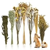 Sukh 47Pcs Natural Hamster Bedding - Flower Herb Sprays Enclosure Decor & Hideout Enriching Habitat Decor, Ideal for Dwarf Hamsters, Syrian Gerbils, Mice and Other Small Rodents
