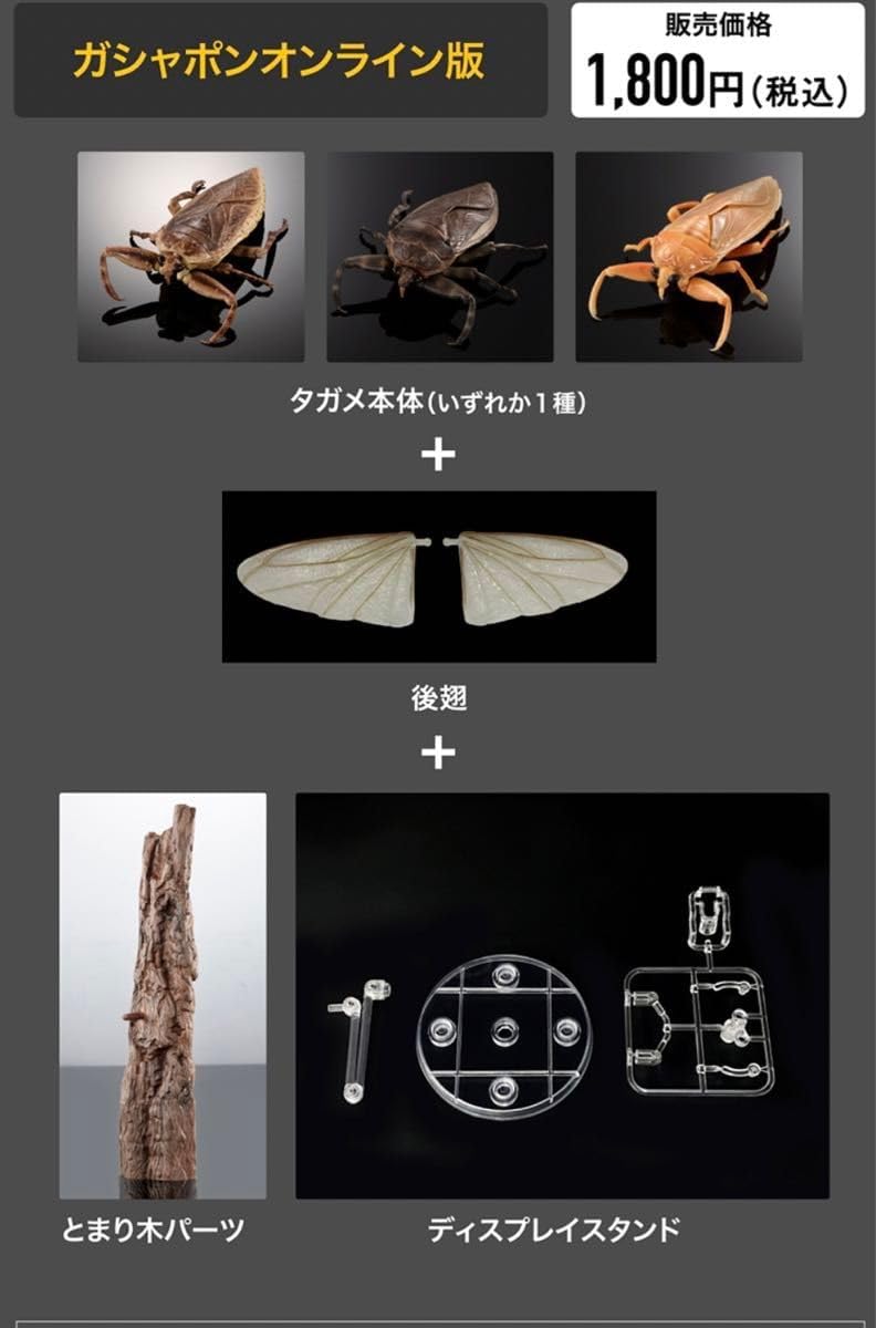 【特価】『琉球列島採集観察地ガイド』『シン・八重山諸島採集観察地ガイド。』2冊組 特価】『琉球列島採集観察地ガイド』『シン・八重山諸島採集観察地