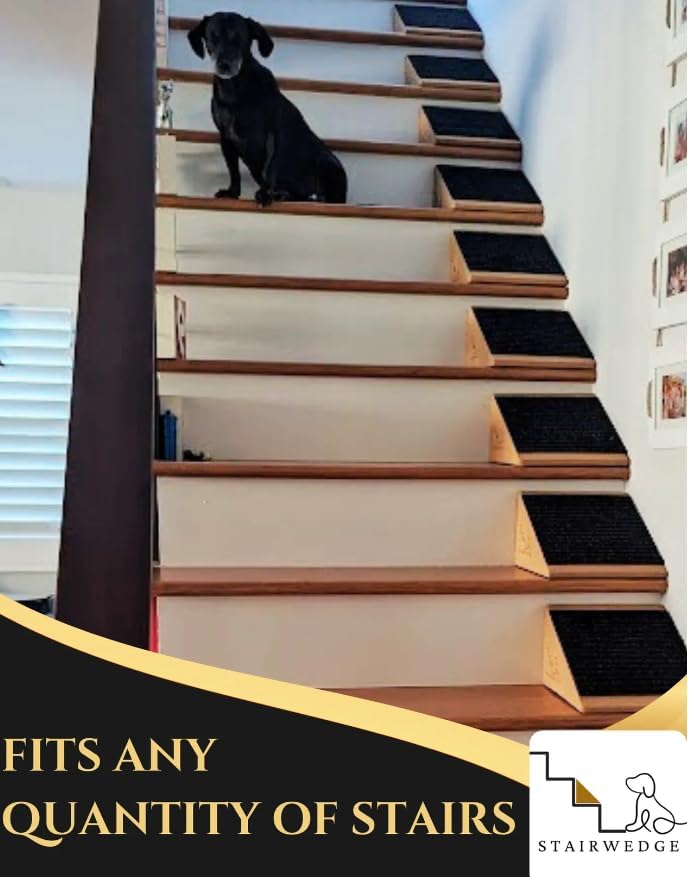 Cork and Carpet Modular Pet Ramp for Small Dogs