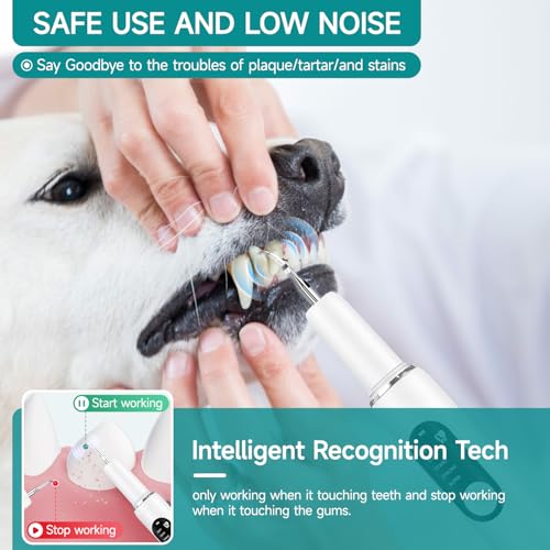 Image of Ultrasonic Dog Toothbrush - Electric Plaque & Tartar Remover Kit with 5 Modes and 2 Heads, Gentle and Safe Teeth Cleaning Tool for Dogs, Improves Pet Oral Health