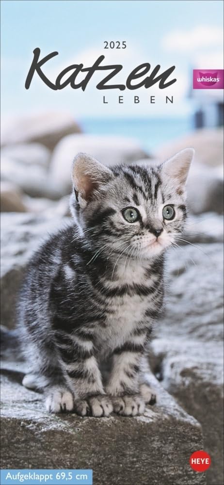 Whiskas Katzenleben Kalender 2025: Süße Kätzchen in allen Lebenslagen in einem Wandkalender zum Eintragen. Immer den Überblick über alle Termine mit dem praktischen Streifenkalender.
