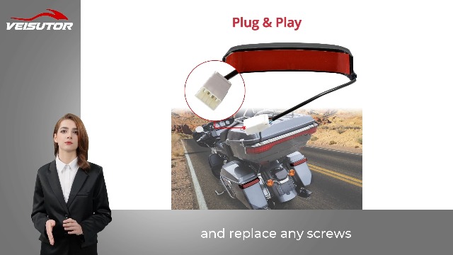 Amazon.com: VEISUTOR LED Saddlebag Tail Light, Red Lens Side