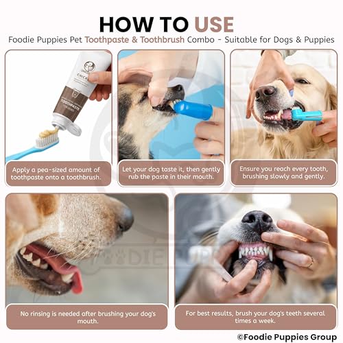 Image of Foodie Puppies Pet Dental Oral Care Combo of Toothbrush and Toothpaste - (3Pcs Toothbrush + Chicken Toothpaste, 100gm) Enriched with Baking Soda Soothes Inflame Gums and 3Pcs Toothbrushes