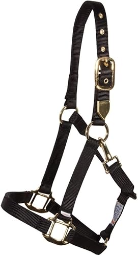 Supreme - Cabestro de nailon de triple capa con ojales de latón, placa de nombre personalizada y opción de bordado, herrajes chapados en latón