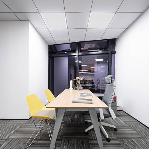Image of SUNBIRD Lighting Diffuser Sheet White Filter Overhead Lighting Gel Film Smooth Overlay Film for Softening Fluorescent LED Dimming Light Placed in Ceiling Light Cover 50cm x 100cm