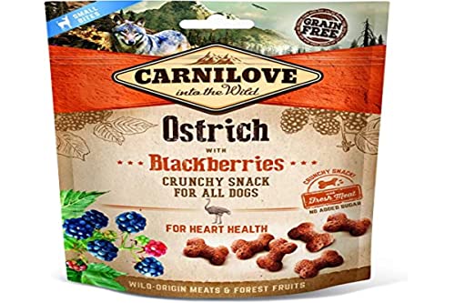 Carnilove Canine Crunchy Snack Strauß Brombeeren Box 6 x 200 g 1200 g