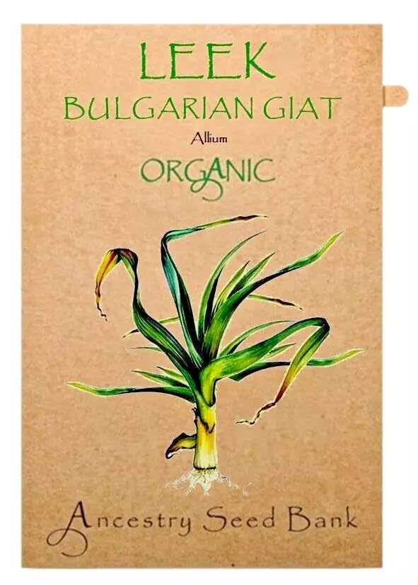 Organic Leek ❁ Bulgarian Giant ❁ 100 Seeds Heirloom - Non GMO