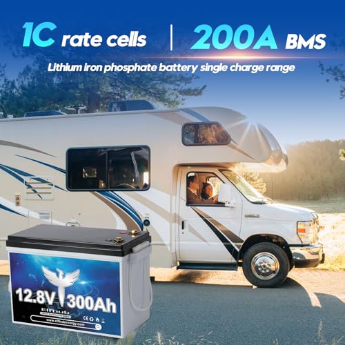 12V 300Ah LiFePO4 Lithium Battery, Bluetooth LiFePO4 Battery.Built-in 200A BMS,Max.3840Wh, 4000-15000 Deep Cycles & 10-Year Lifetime, Perfect for Off-grid Solar Home System, RV, etc