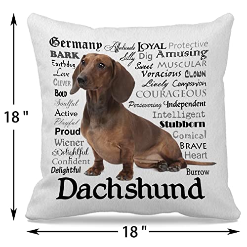 Gichugi Dog Themed 18″×18″Funny Traits And Personality Of A Dachshund Decorative Throw Pillow Case For Home Living Room Sofa Couch Bed Decor,Dog Lovers Dachshund Mom Girls Women Gifts #TOP2