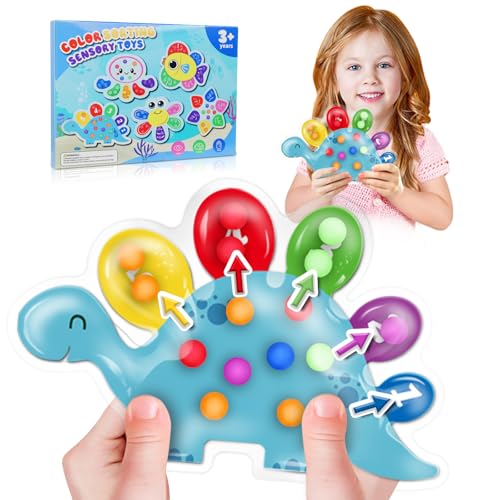 Color Sorting Sensory Toys, Toddler Travel Fine Motor Toys, Presc...