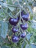 20 semillas de hortalizas de tomates azules