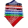 FANNI YOUPIN 100% Cotton Fine thick Bandanas/Fashion Scarf for Men & Women Paisley printed 22 inches