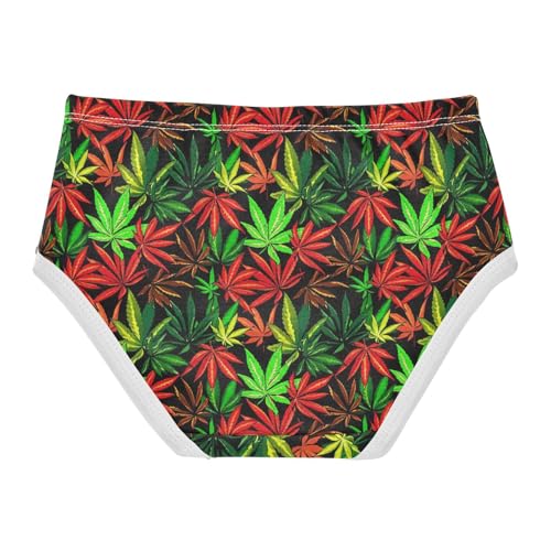 Joisal Toddlers Underwear Floral 2t Cotton Panties for Girl Colorful Briefs Kids Undies Leaves Red Green2