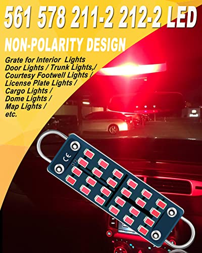 Qasim LED 44mm Rígido Loop Rojo Pack 4 miniatura 2