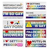 FSTURIOS 10 PCS Bumper Decals, Funny LGBT Sticker Rainbow Gay Bumper Prank Decoration, Waterproof Vinyl Decal Humor Text Gay Pride Stickers for Luggage Window Refrigerator Laptop (Style 2)
