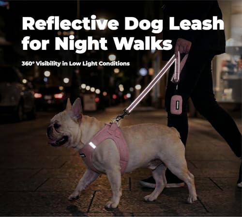 Image of Best Pet Supplies Voyager Reflective Dog Leash or Collar with Neoprene Handle, for Small, Medium, and Large Breed Puppies, Cute and Heavy Duty for Walking, Running and Training - Pink (Leash), S