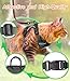Halypet Cat Harness and Leash Set [ MAX Safety Third Generation ] Escape Proof Soft Adjustable Cat Leash Breathable Comfortable Vest Easy to Wear Kitten Harness for Outdoor Walking Black