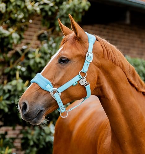 Horseware® Signature Grooming Halter