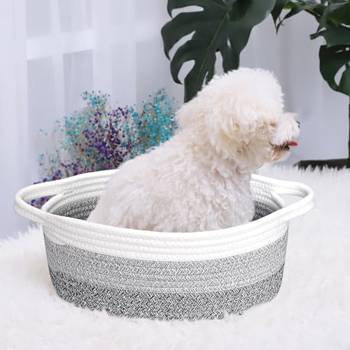 Image of ABenkle Small Basket with Handles, Boho Decorative Rope Woven Dog Cat Toy Storage Bin Shelf Storage Organizer, Easter Christmas Gift Basket, 12 inchx8 inchx5 inch