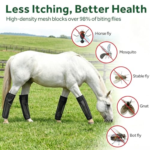 Image of Fly Boots for Horses - 4 Pack Horse Breathable Mesh with UV-Protection Leggings Boot, Reduces Stomping & Anti-Sag Stays for Medium Large Size Equine Leg Protectors(Black)