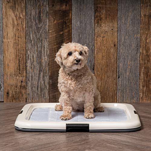 Iris 594501 Usa Pee Pad Holder, Square Dog Puppy Pad Holder, Secured Latches, Non-Skid Feet, High Polish Finish For Easy Cleaning, Leak Protection, Indoor Potty Tray thumb #4