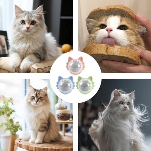 Balle de jouets à l'herbe à chat à fixer au mur pour occuper votre chat en intérieur - 5