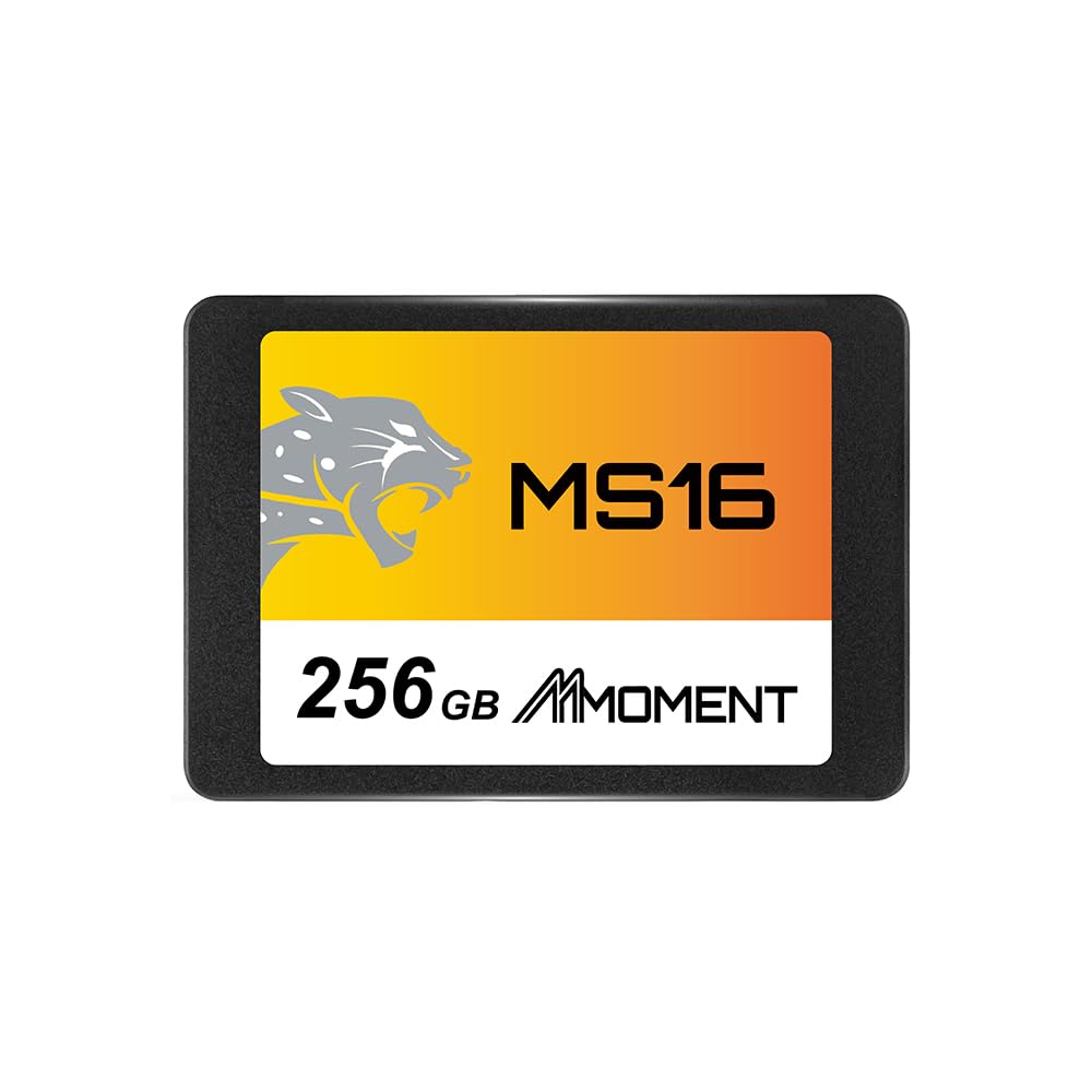 Amazon.com: MMOMENT MS16 256GB 2.5 Inch SATA III 6 GB/s Internal