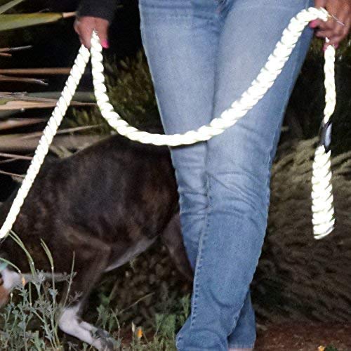 Safetypup Xd Dog Leash - Reflective, Heavy Duty, Climbing Rope For Medium To Large Dogs. 6 Ft Green, Nylon Braided Leash For The Best Control When Walking Large Dogs (Not For Small Dogs) #TOP3