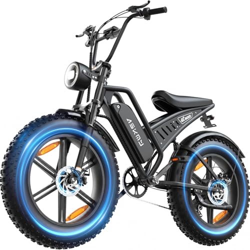 RPINT E500