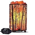 Himalayan Salt Lamp, Salt Rock Lamp Natural Night Light in Forest Design Metal Basket with Dimmer Switch (4.1 x 6.5 4.4-5lbs), 25Watt Bulbs & ETL Cord 1 Pack