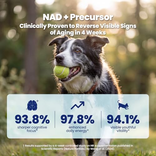 Image of NAD+ Precursor & Senior Dog Supplement - 90 Soft Chews - NMN Alternative for Longevity & Healthy Aging - Nicotinamide Riboside, Resveratrol, Quercetin - Filet Mignon Steak Flavor